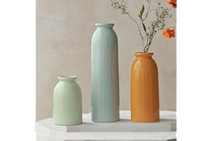 VIVIDFLOW Lot de 3 petits vases en céramique pour décoration d'intérieur et centres de table, fleurs rustiques de style ferme, mini vases décoratifs (colorés)