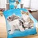 Produktbild Mikrofaser Thermofleece Bettwäsche 135x200cm 2tlg Katzen Tiere Kätzchen