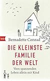 Die kleinste Familie der Welt: Vom spannenden Leben allein mit Kind by Bernadette Conrad