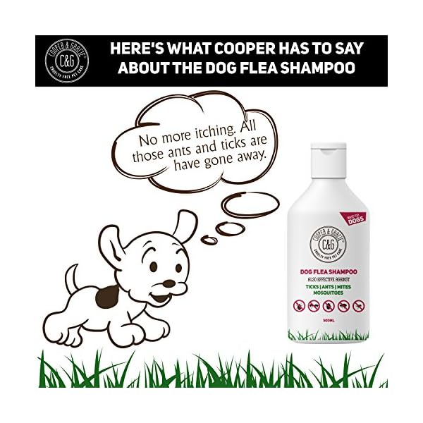 Flea Shampoo For Dogs 500ml Sensitive Itchy Skin Dog and Puppy Grooming Medicated Fleas