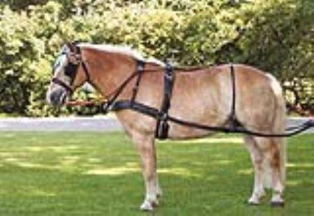 Brustblattgeschirr-SENATOR-Zweispnner-KB-schwarz