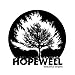 Produktbild Hopewell And The Birds Of Appe by Hopewell