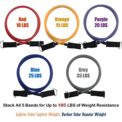 Exercice Résistance Band Set-Home Gym Exercise Band Ceinture Formation Set-12 Pièces Set-8 Exercice Yoga Yoga Band Inclus - 2