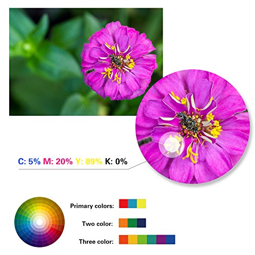 Aoioi Kompatibel Tintenpatronen Ersatz für Epson 29XL 29 (1 Schwarz, 1 Blau, 1 Rot und 1 Gelb) 4er-Pack für Epson XP-342 XP-332 XP-345 XP-442 XP-445 XP-432 XP-247 XP-335 XP-235 XP-245 XP-435 XP-330 XP-430 Patronen - 2