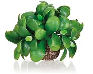 biOrb Mistletoe Ball