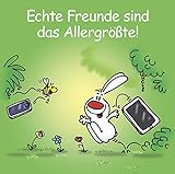 Image de Echte Freunde sind das Allergrößte!: Cartoon-Geschenkbuch