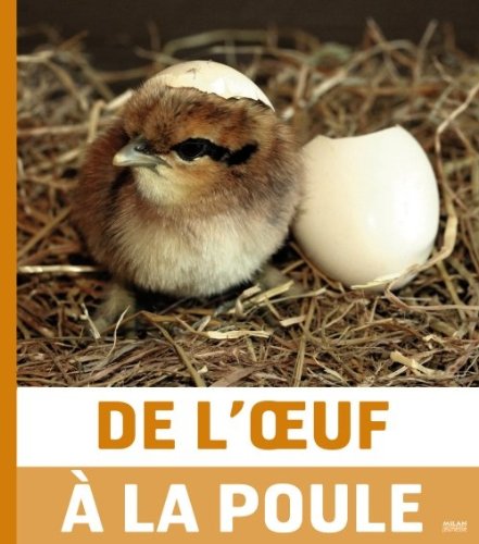couverture de : De l'oeuf &agrave; la poule