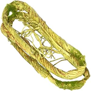 Penn Plax Reptile Klettern Vine Habitat Décor biegbarer 5ft in Länge, Grün