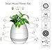 Produktbild NNIUK Kreativer intelligenter Musik-Blumentopf, Klavier spielen, indem er reale Pflanze berührt, Bluetooth Lautsprecher, bunte Atmosphäre-Lichter für geschaffenes neues Leben-Art, Weiß