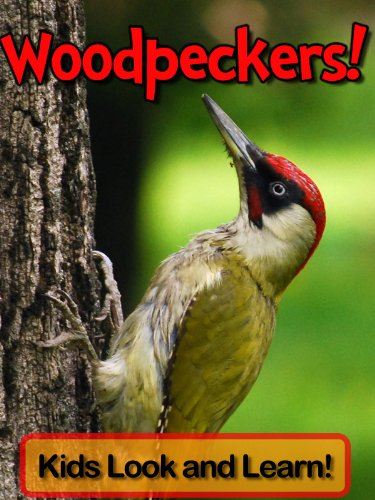 Woodpeckers! Learn About Woodpeckers and Enjoy Colorful Pictures - Look and Learn! (50+ Photos of Woodpeckers) (English Edition) livre