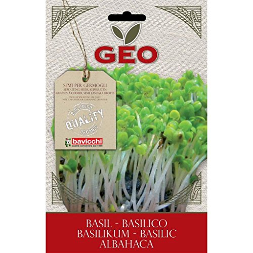 Semillas germinado Albahaca, - Bavicchi GEO, 5g