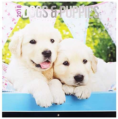 Download 2018 Chats et chatons Chiens et Chiots animaux sauvages carré Calendrier mural Cute Pets Puppy créatures Lions Tigers Bears éléphants singes de Noël Anniversaire Cadeau Home Office Cats & Kittens
