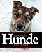 Literarischer Hunde Kalender 2013 by 