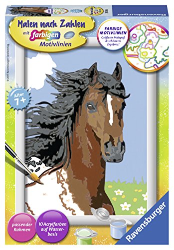 Preisvergleich Produktbild Ravensburger Malen nach Zahlen 28063 - Pferdeportrait