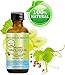Produktbild ORGANIC GRAPE SEED Oil ULTRA LIGHT. 100% Pure / Natural / Undiluted / CERTIFIED ORGANIC Cold Pressed Carrier Oil for Skin, Hair, Nail Care and Massage. 1 Fl. oz- 30 ml. "One of the highest anti-oxidant oil, rich in Tocopherols (Vitamin E), Omega 6 and 9." Botanical Beauty.