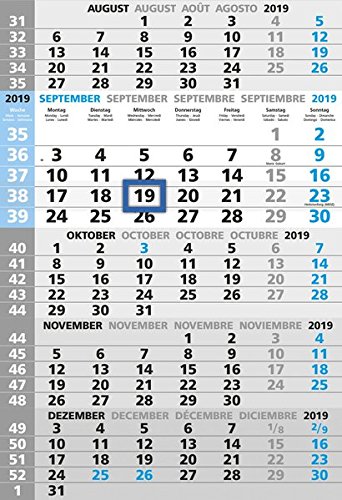 5-Monatskalender 2019 - Wandkalender / Bürokalender (33 x 63,5 geöffnet) - mit Datumsschieber - mit Jahresübersicht