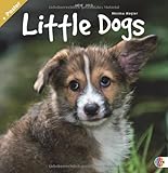 Little Dogs Broschurkalender 2013 by