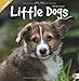 Little Dogs Broschurkalender 2013 by
