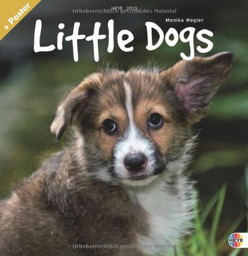 Little Dogs Broschurkalender 2013