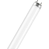 Leuchtstoflampe L 36 Watt 77 Fluora - Osram 36W