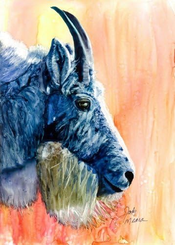 Rainbow Card Company In The Wild Greeting Card - Gruff