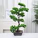 Produktbild künstliche Bonsai Baum Pflanze für Büro Zuhause Dekoration, 70cm (Grün), Green (A-40cm) (70cm-A)