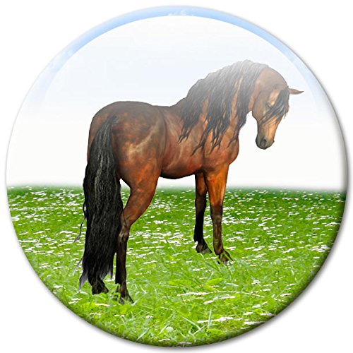 Pferde – Lebhafte Design Metall Magnettafel 40×30 cm – Pinnwand Memoboard mit Motiv: Pferde im Galopp – inkl. 4 Magnete mit Motiven von Pferden auf der Wiese für Magnetwand – Original Magnetpinnwand GUMA Magneticum - 7