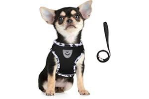 FEimaX Dog Harness and Leash Set, No Pull Adjustable Puppy Harness with Reflective Strip, Escape Proof Kitten Step-in Vest Fit Small Medium Dogs Cats