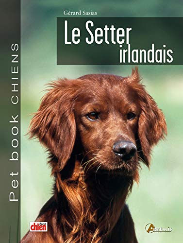 Télécharger SETTER IRLANDAIS Gratuit