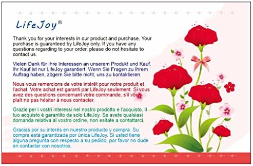 LIFEJOY Protect Bra Underwear Lingerie Case Storage Travel Organizer Bag (Pink&Black Point) 4 Bras in total,Different pattern is ok! The 5th will be given as a gift (random pattern)