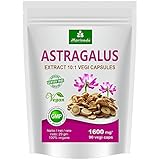 Astragalus Kapseln 1600mg (10:1 Extrakt Astragalus Tragant...