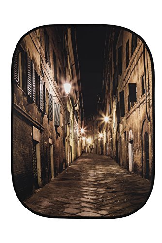 Lastolite by Manfrotto 1.5 x 2.1 m Perspective Collapsible Background, Evening Street/Ivy Archway