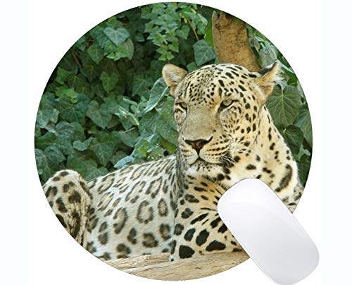 Preisvergleich Produktbild Spiel-runder Mausunterlage-Entwurf, Katzenjägerlügen kundengebundene runde Mausunterlage