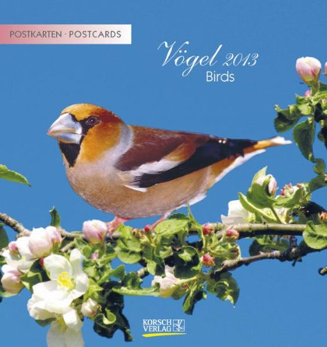 Vögel 2013 Postkartenkalender