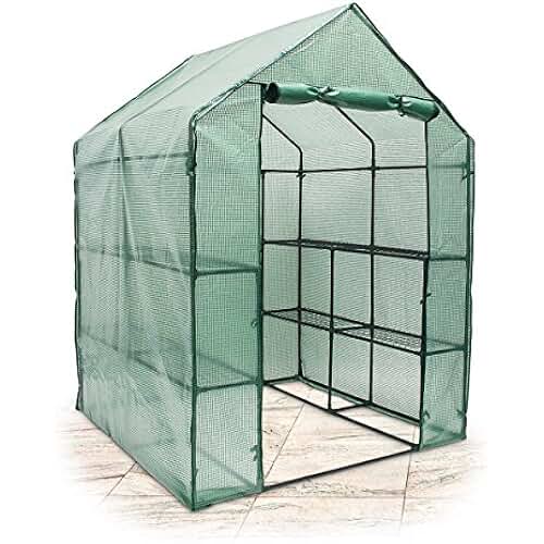 Suchergebnis auf Amazon.de für: gewächshaus klein