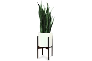 FOX & FERN Mid-Century Modern Soporte para Plantas - Ancho Ajustable Desde 23 cm hasta 33 cm - Madera de Bambú Oscuro - EXCLUYENDO Maceta de Cerámica Blanca