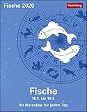Fische Sternzeichenkalender. Tischkalender 2020. Tageskalendarium. Blockkalender. Format 11 x 14 cm by