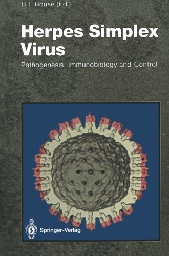 Herpes Simplex Virus: Pathogenesis, Immunobiology and Control (Current Topics in Microbiology and Immunology) (1992-01-01) francais Herpes Simplex Virus: Pathogenesis, Immunobiology and Control (Current Topics in Microbiology and Immunology) (1992-01-01) francais