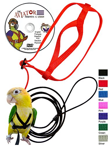 The AVIATOR Pet Bird Harness and Leash: X-Large Blue