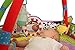 Taf Toys Newborn Gym Thickly Padded Play Gym