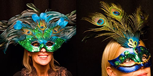 ROSEMARIE SCHULZ® Heidelberg 12 natürliche Pfauenfedern 25-30cm lang – Federn zum Basteln, Schmücken und zur Dekoration - 7