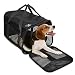 Produktbild WOT I Hundebox Transportbox Katze aux Oxford Gewebe Tragetasche für Hunde Katze Welpen Haustiere