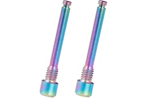 ALIXO Beauneo Pernos de Titanio M4 para Pastillas de Freno de Disco de Bicicleta Tornillo de InsercióN de Pasador Roscado para Pinza de Disco HidráUlico XT R XT-Color Deslumbrante