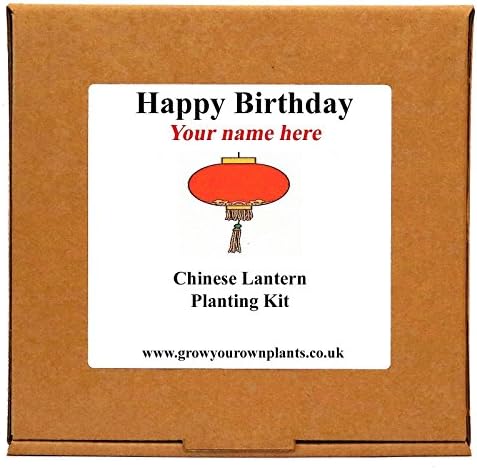 Personalised Happy Birthday Chinese Lantern Planting Kit - Unusual Indoor Gardening Gift