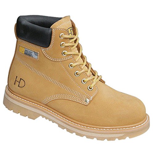 « Click to Enlarge and to go to Amazon »