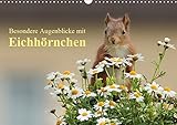 Besondere Augenblicke mit Eichhörnchen (Wandkalender 2019 DIN A3 quer): Zauberhafte Bilder von kleinen Fotostars (Monatskalender, 14 Seiten ) (CALVENDO Tiere) by