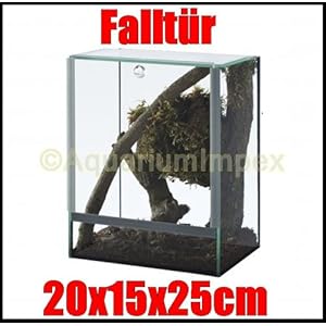Glas Terrarium Glasterrarium 20x15x25 20 15 25 Falltür