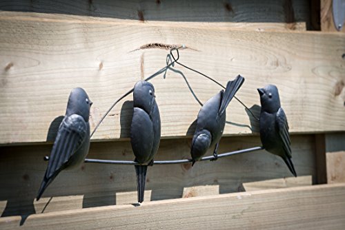 TS Wand-deko Gardendeco Happy Birds Iron, pulverbeschichtet, schwarz, 56 x 2 x 14 cm, 134421 - 2