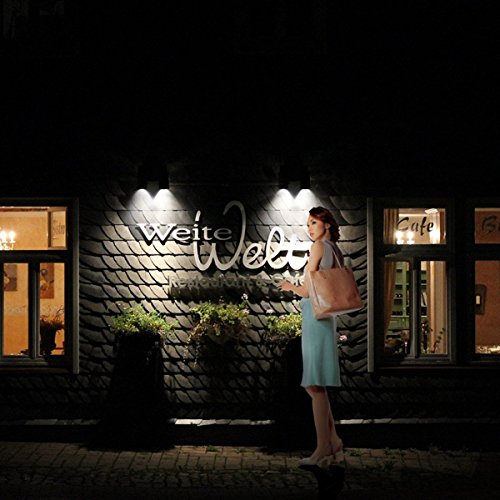 Wiederaufladbare LED Solarleuchte,Drillpro 1000 Lumen IP44 LED wasserdichte wandleuchte,outdoor super helle LED Solarlampe mit Doppel einstellbar Drehwinkel-Design für Garden Terrasse,Hof. schwarz - 6