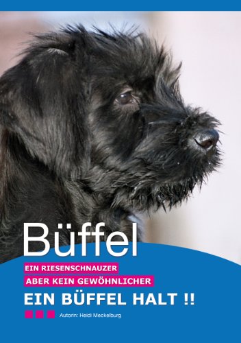 Download Büffel - ein Riesenschnauzer ... aber kein gewöhnlicher - ein Büffel halt